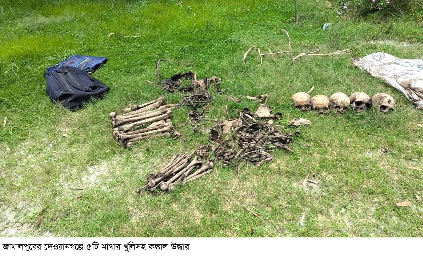 জামালপুরের দেওয়ানগঞ্জে ৫টি মাথার খুলিসহ কঙ্কাল উদ্ধার